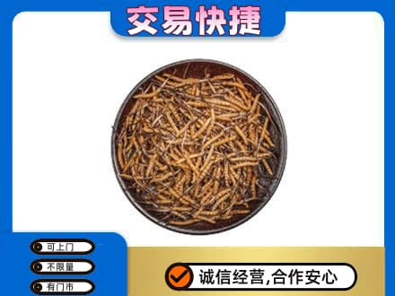 内江回收散虫草